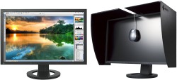 EIZO FlexScan CG223W