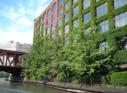 mio_green_1016.jpg