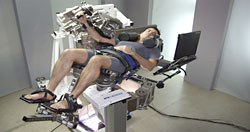 mares1036.jpg