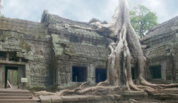 Kamenné monumenty v Angkoru, Kambodža -angkor1126