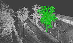 3D laserové skenování stromů v Jihlavě firmou Blom CZ -1137