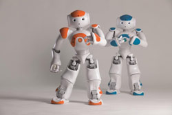 NAO1-1231