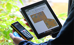 OrthoGraph Architect 1309