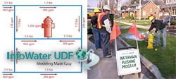 Innovyze Infowater UDF-1333