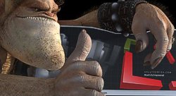 brazil-rhino-1336