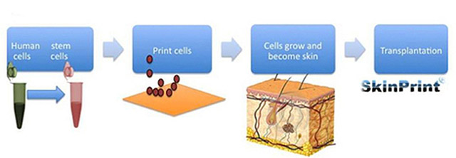 Jak vzniká nová kůže podle projektu PrintSkin SkinPrint-1409