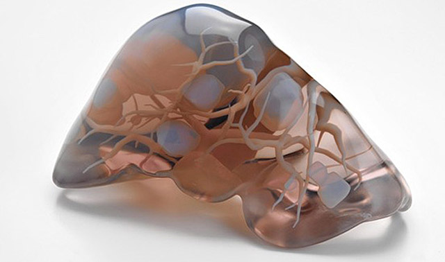 Takto by mohla podle Dr. Maki Sugimota vypadat játra (obrázek z 3dengineering.com) sugimotoliver-1409