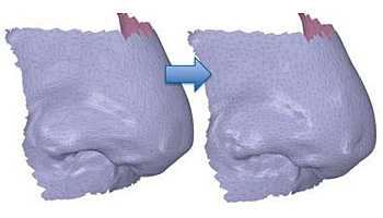 ANSYS-1447