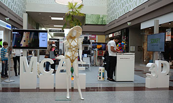 DSC02565-1607