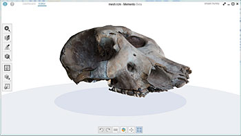 mesh rcm-memento-mamut-1622