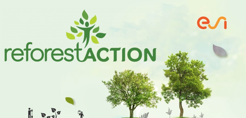 reforestaction-hp-2105