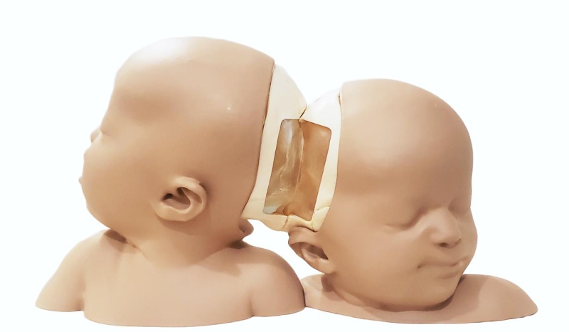 LMI Image-1-2149
