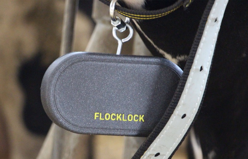 flocklockPrototypZnamka-2231