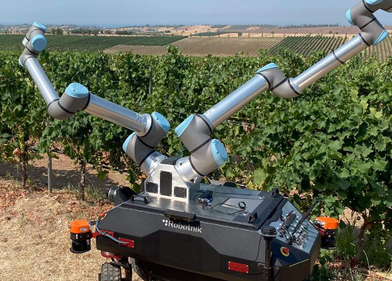 Robotnik Bacchus-2303
