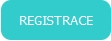 Automotive registrace-2513