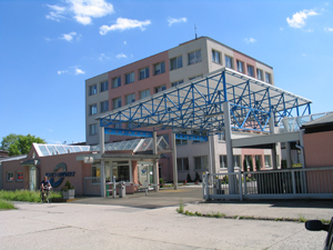 Hayes Lemmerz Autokola
