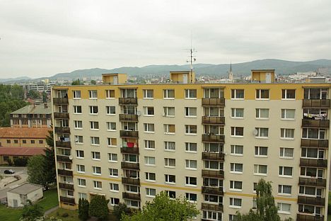 revit02